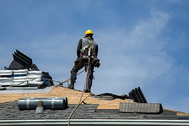 Professional Gutter Installation technician working in Shawboro, NC